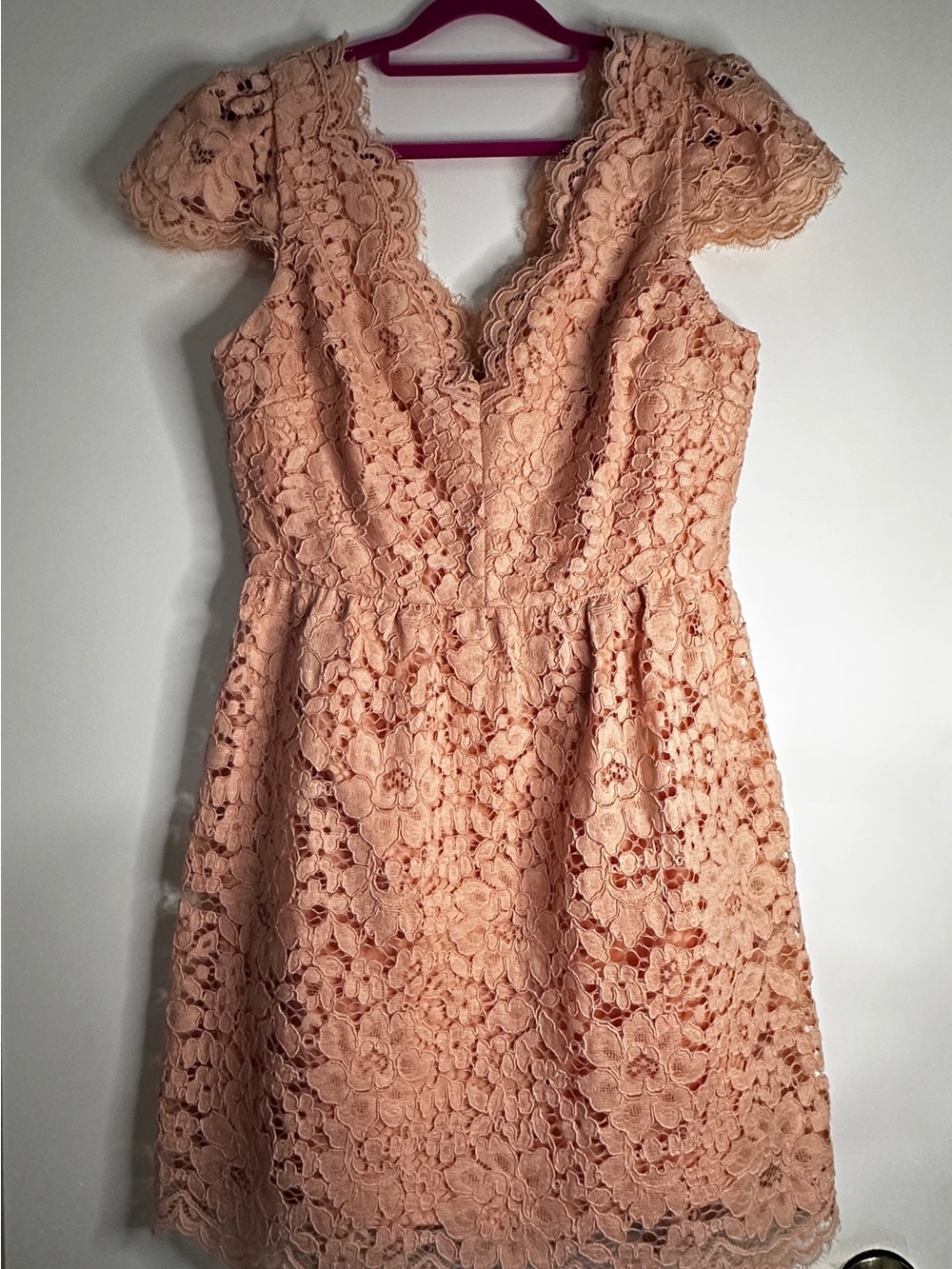ERIN by Erin Fetherston Alicia Peach Lace Fit & Flare Cocktail Dress Size 8